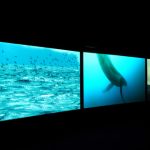 GG16-newlyn-art-gallery-04.jpg